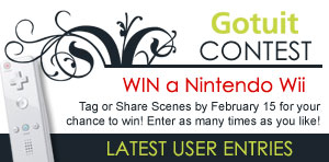 Gotuit : Contest -- Nintendo Wii : the Grand Prize!